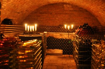 Pension and winery Vavříček
